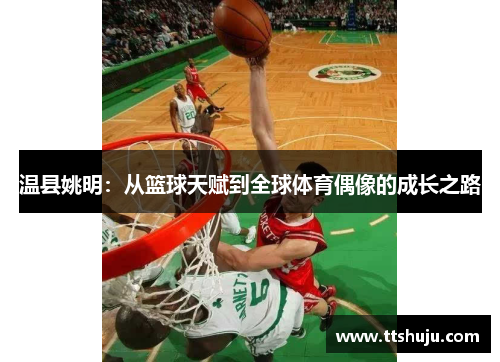 温县姚明：从篮球天赋到全球体育偶像的成长之路