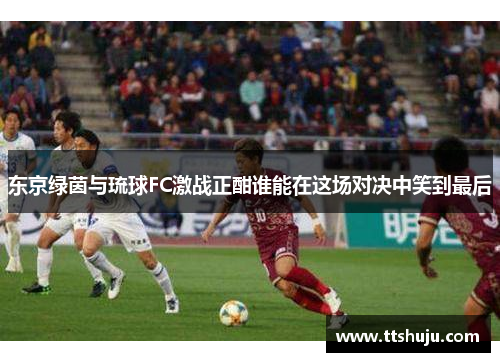 东京绿茵与琉球FC激战正酣谁能在这场对决中笑到最后